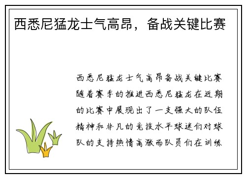 西悉尼猛龙士气高昂，备战关键比赛