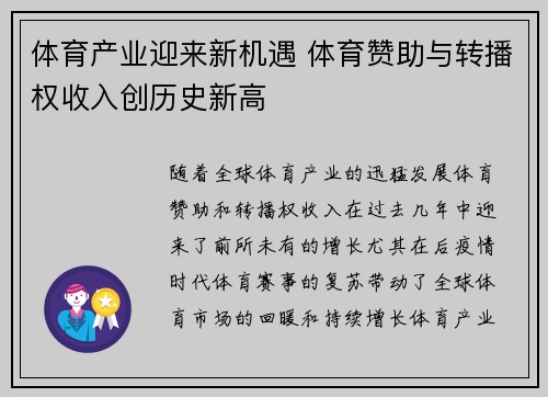体育产业迎来新机遇 体育赞助与转播权收入创历史新高